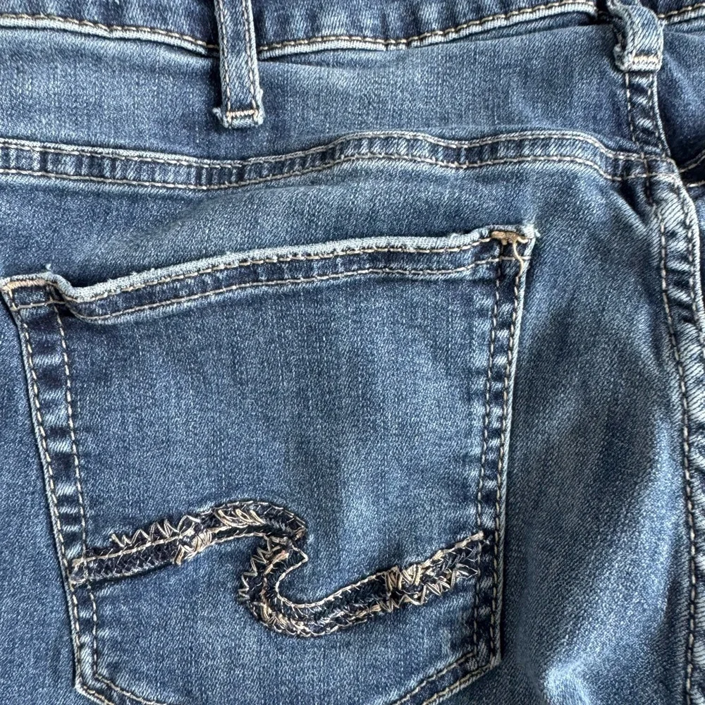 Silver Jeans.  Boyfriend Style.  Women’s size 12/29. Excellent used condition! - Picture 7 of 7